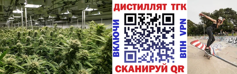 купить   Щёкино  ТГК вейп 