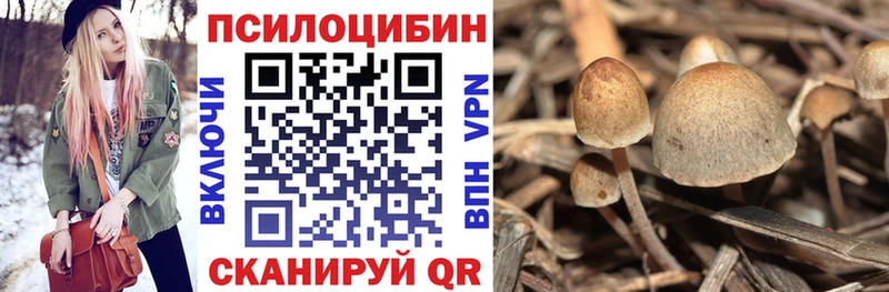 Псилоцибиновые грибы Magic Shrooms  магазин продажи   Щёкино 