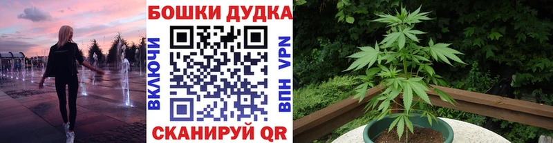 МАРИХУАНА индика  Щёкино 